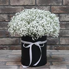 Цветочная композиция из Гипсофила в шляпной коробке в Солнечногорске-7