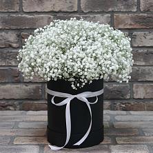 Цветочная композиция из Гипсофила в шляпной коробке в Солнечногорске-7