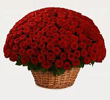 Премиум букет из: Розы в Солнечногорске-7