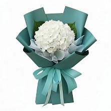 Букет цветов из:  Гортензия #REPLACE_PRED# Солнечногорске-7